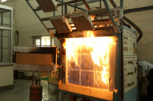 Surface Spread of Flame